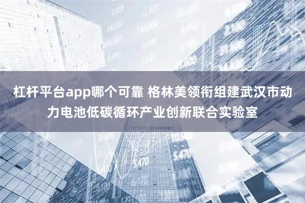 杠杆平台app哪个可靠 格林美领衔组建武汉市动力电池低碳循环产业创新联合实验室