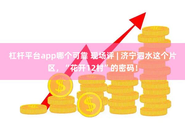 杠杆平台app哪个可靠 现场评 | 济宁泗水这个片区，“花开12村”的密码！