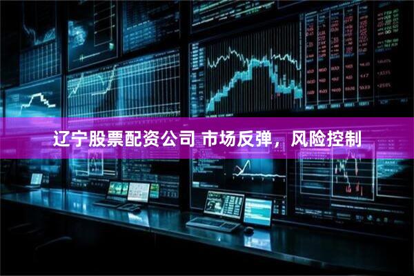 辽宁股票配资公司 市场反弹，风险控制