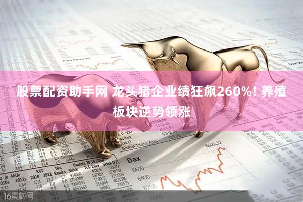 股票配资助手网 龙头猪企业绩狂飙260%! 养殖板块逆势领涨