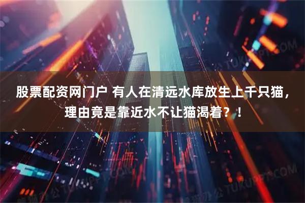 股票配资网门户 有人在清远水库放生上千只猫，理由竟是靠近水不让猫渴着？！